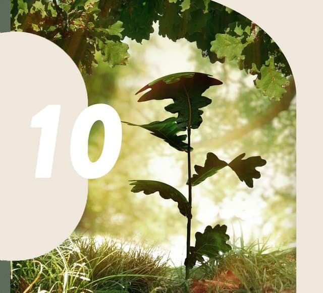 course-feature-image